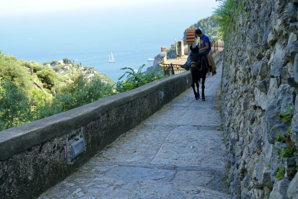 A local traveling up a cliffside walkway with stunning ocean views on the Amalfi Coast.
