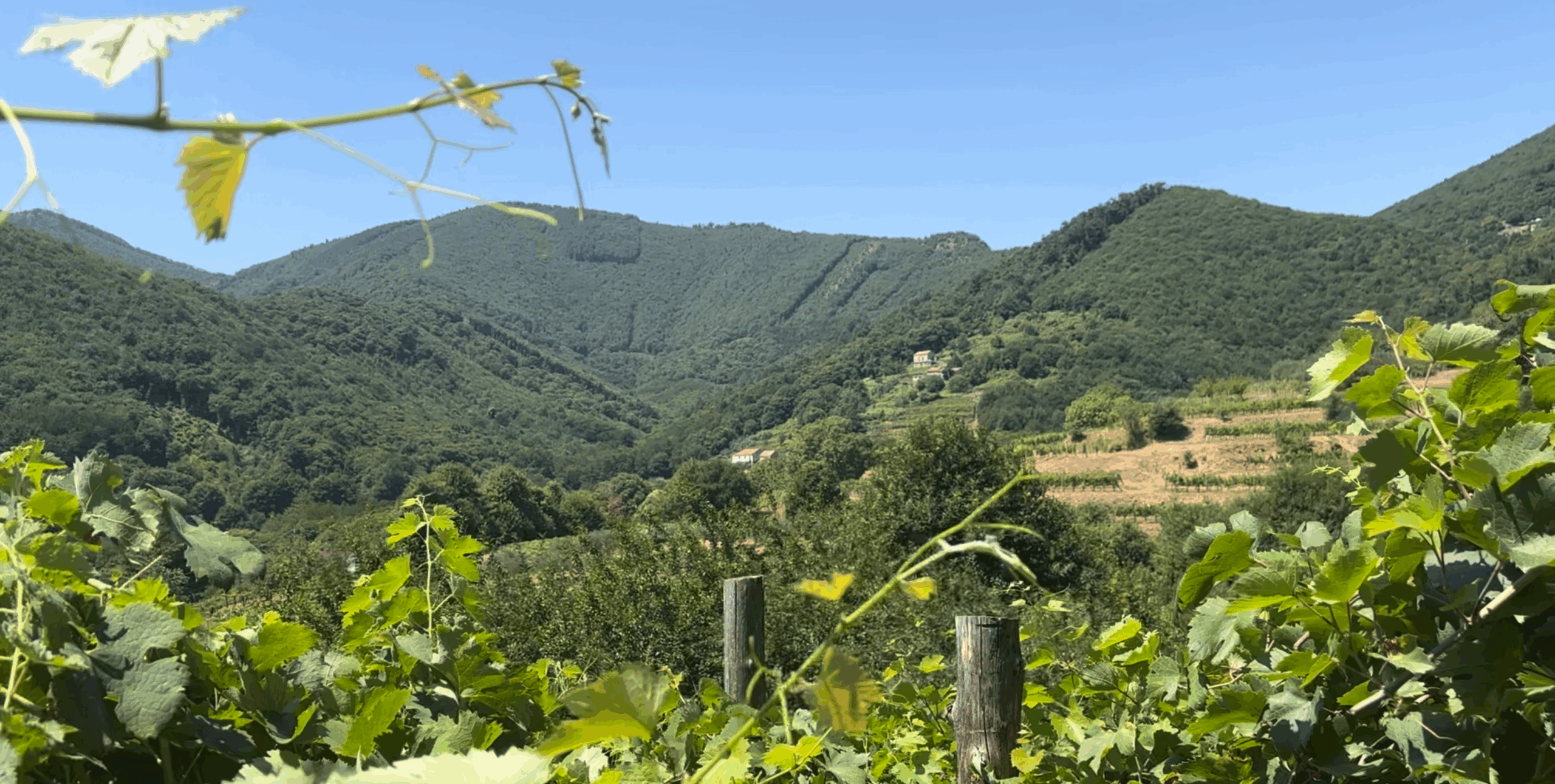 Tramonti