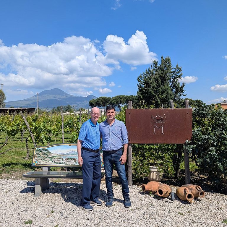 Pompeii Uncovered, Vesuvius Uncorked: History & Wine combined