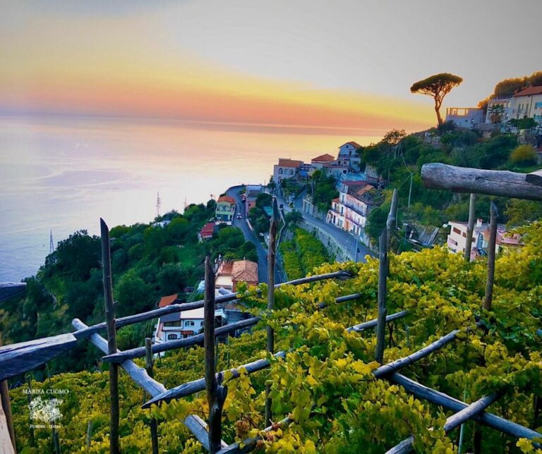 From Emerald Waters to Terraced Wines: Emerald Grotto, Amalfi, Winery & Lunch  Experience