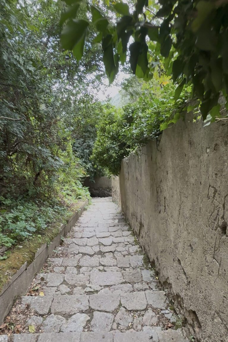 Secret Paths & Farm-to-Table Flavours in Amalfi’s Valle delle Ferriere