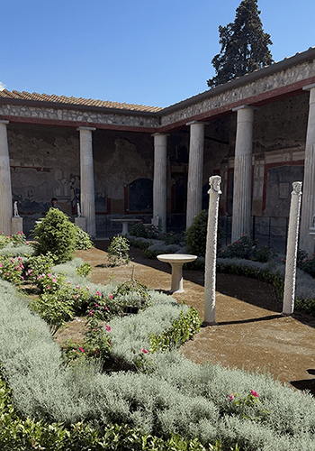 Pompeii Uncovered, Vesuvius Uncorked: History & Wine combined