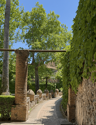 Ancient Vines & Ravello Views: A Day in Campania’s Mountain Heart