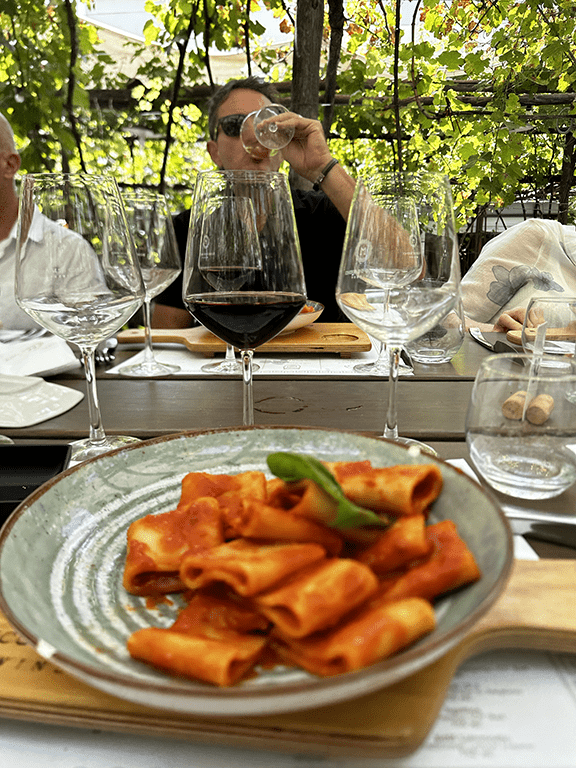 Pompeii Uncovered, Vesuvius Uncorked: History & Wine combined