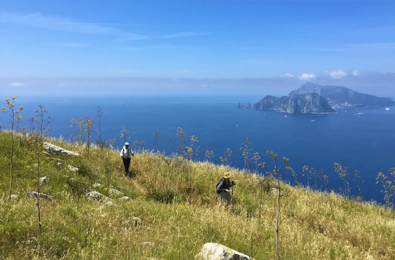 Walking Toward Capri: Punta Campanella & Hilltop Lunch Experience