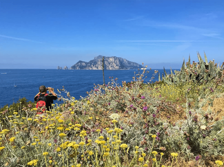 Walking Toward Capri: Punta Campanella & Hilltop Lunch Experience