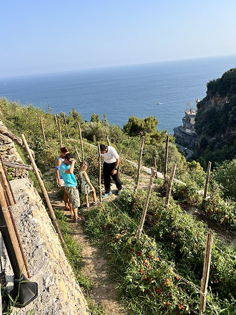 Gardens, Views & Village Flavours: Ravello, Villa Cimbrone & Farm to Table Cooking Class
