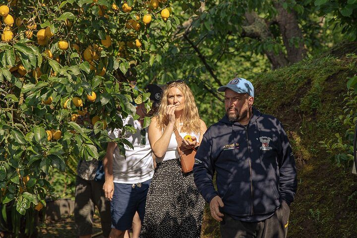Authentic Village Life – Lemons, Cheese, Oil & Pizza with Visit to Sorrento