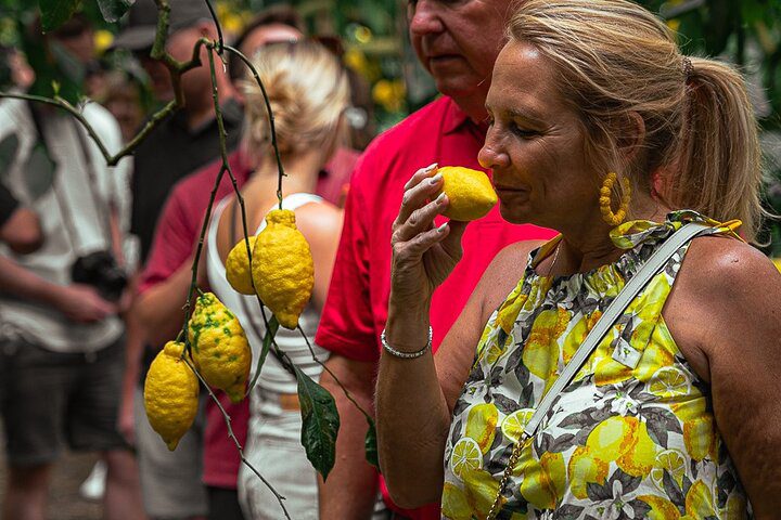Authentic Village Life – Lemons, Cheese, Oil & Pizza with Visit to Sorrento