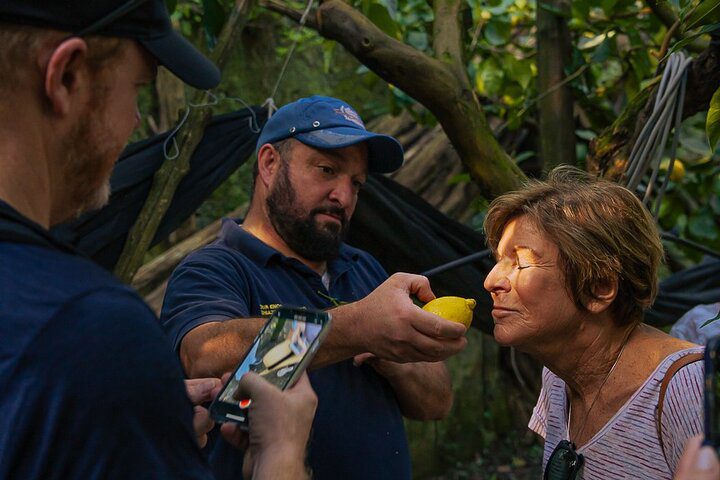 Authentic Village Life – Lemons, Cheese, Oil & Pizza with Visit to Sorrento